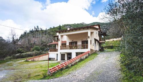 Michel Studios