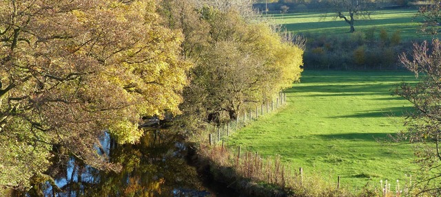 Millbrook B&B