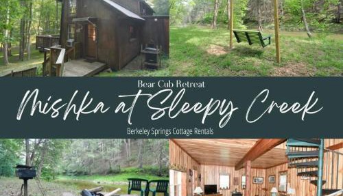 Mishka (Bear Cub Retreat)at Sleepy Creek