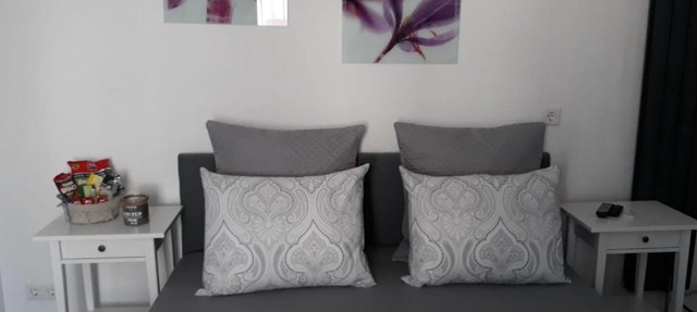 Moderm Basement Apartment
