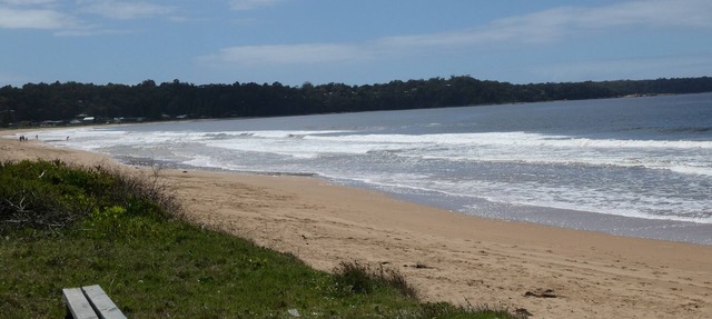 Modern 5brm Beachfront Bliss - Fur babies welcome - foot steps to golden sands
