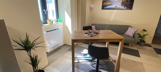 Modern apartment for vacation and work