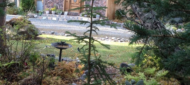 MOOSE MEADOW SUITE. Serenity on a large private wooded lot. Abundant wildlife