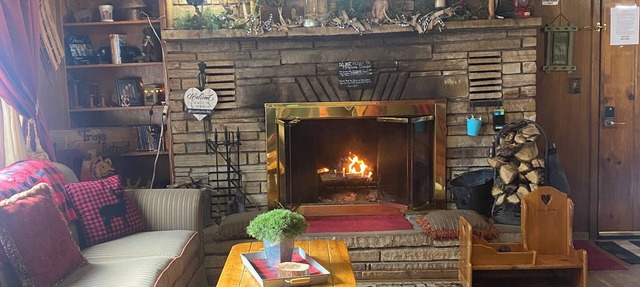 Mountain Cabin walking distance to Park and Brewery. Level off street parking.