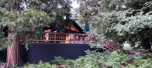 Mountain mod cabin w/EV charging - Fernwood