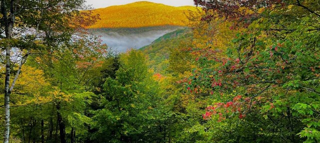 Mountain Retreat near Okemo | Spectacular Views