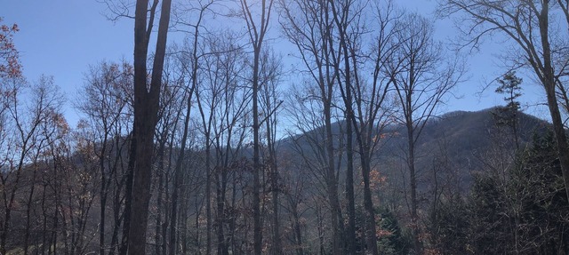 Mountain Views, Fire Pit, Minutes From Downtown Asheville