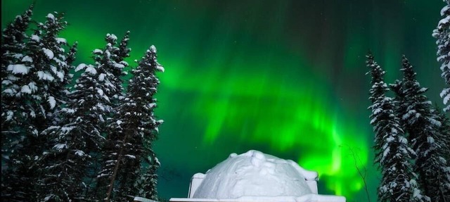 Mulchatna Igloo: Reindeer Walking Path and Aurora