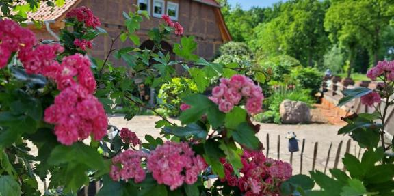 Mutti 's Landhof