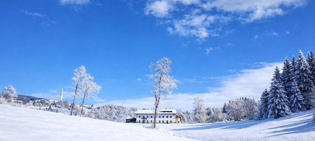 Nature & Relaxation in the Asiago Plateau