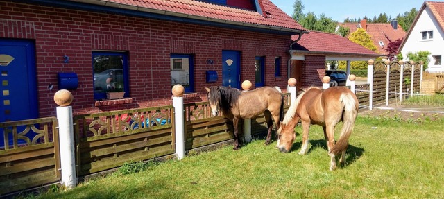 New Comfortable vacation home145m² garden/barbecue area,800m² playground, leisure park