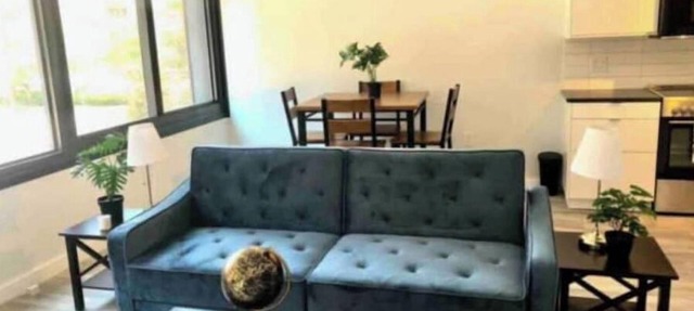 New Cozy exquisite condo in downtown Silver Spring