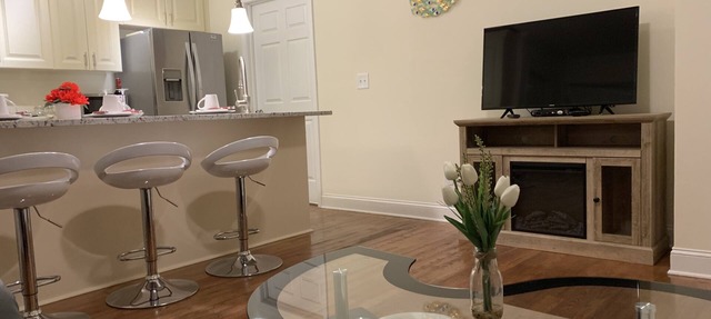 NEW! Cozy Inlaw suite- in Brookhaven