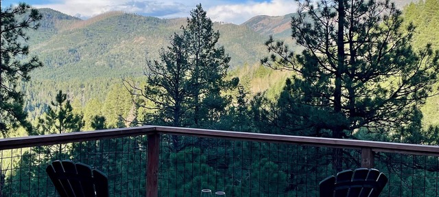 NEW! PREMIER HOST!! Jemez Mountain Comfy Cabin - Great for hunting or relaxing.