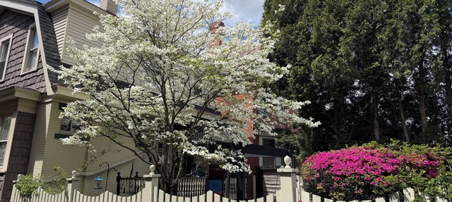 NFL DRAFT PITTSBURGH - stay in Mr. Rogers Neighborhood!