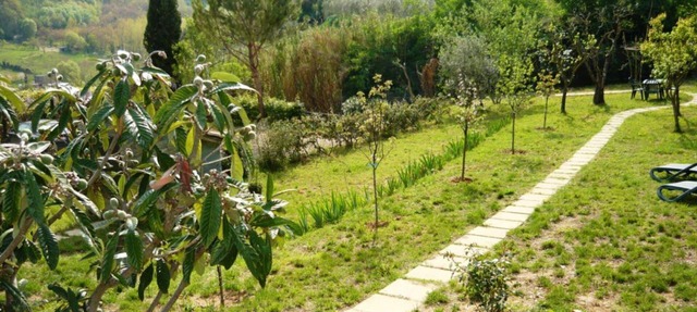 Nice apartment in villa for 2 people with pool, WIFI and TV, close to San Gimignano