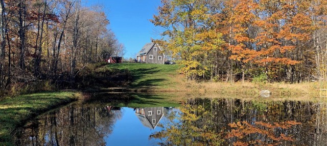 Not-so-tiny, Tranquil, Pond Front Bungalow