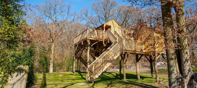 Oakside Tree Tops