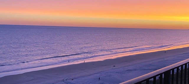 OCEAN BLISS! Beautiful oceanfront condo with large balcony and amazing views!