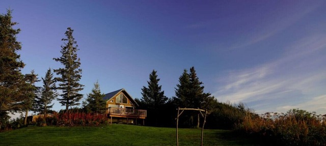 Ocean-view Cabins on the Anchor Point Bluff