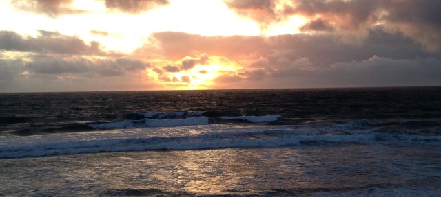 OCEANFRONT Condo minutes from Coronado