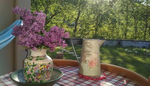 Orma Pet friendly Retreat studio