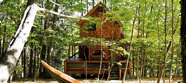Out On a Limb — A Magical Treehouse Experience