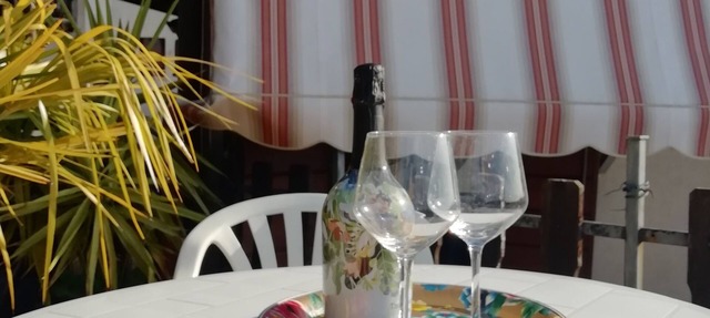 Panoramic appartament into Asolo olive tree grove - Ten minutes walk from center