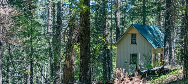 "Peace & Quiet", Nature's Retreat, 50 yds from Trailhead, Wildlife Galore