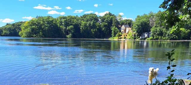 Peaceful and convenient area with tiny house experience