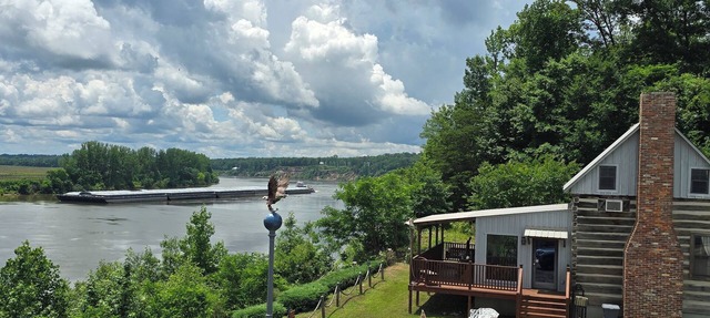 Peaceful log cabin on Tennessee River! Pet friendly, close to historical sites.