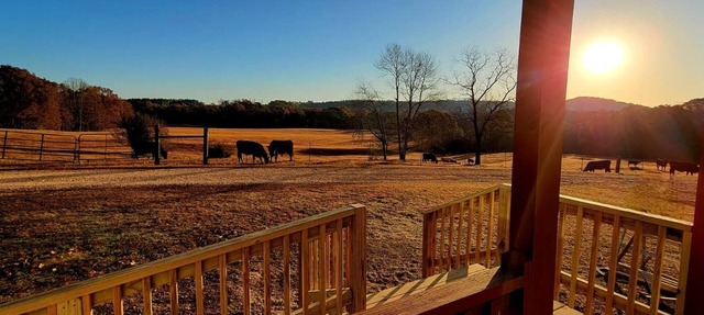 Peaceful Tiny House on 32 acres
