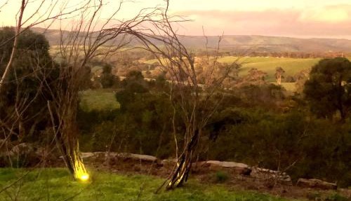 Pear Tree Hollow