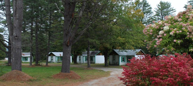 Pine Valley Cabins