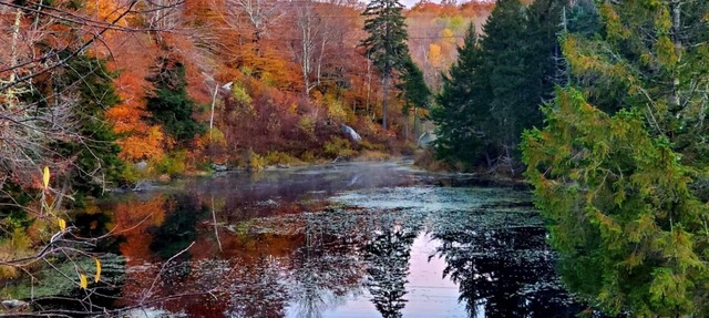 Pinnacle Lodge