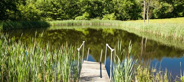 Pond View Cottage in Old Chatham WEEKLY & MONTHLY DISCOUNTS OFFERED!!!!