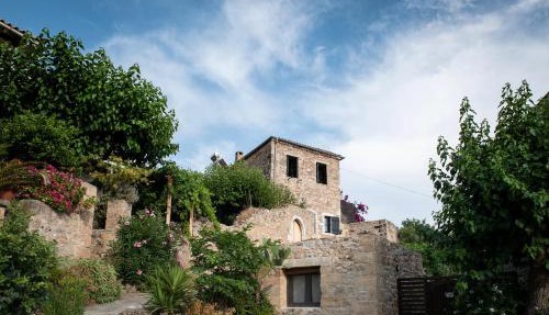 PositiveSpace Olive Tree