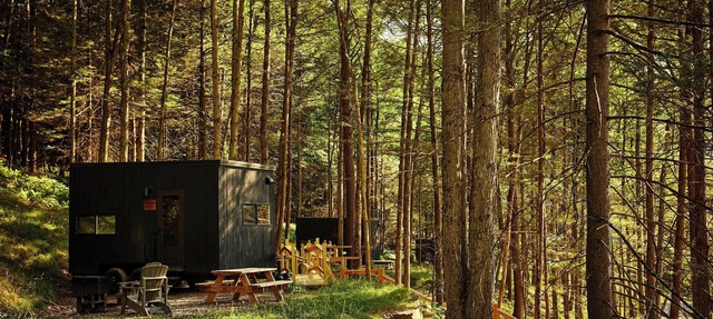 Postcard Cabins Eastern Catskills, Outdoor Collection by Marriott Bonvoy