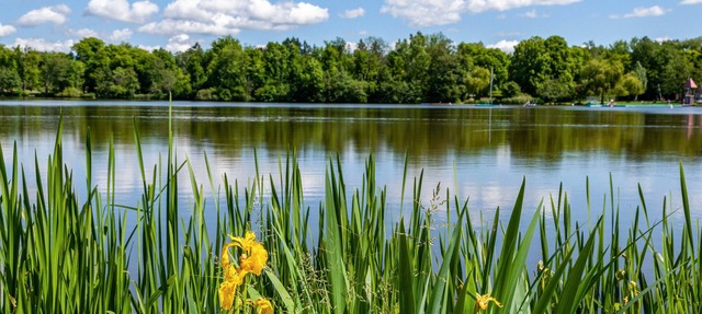 Premium Apartment Directly on Stadtsee with Lake View