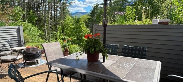 Private 2-bedroom condo with mountain views in charming Dorset, Vermont.