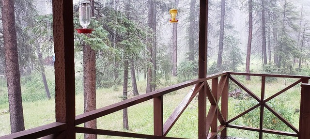 Private Jemez cabin near Fenton Lake