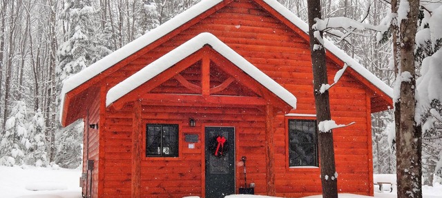 Private pet-friendly cabin in the woods w/private campfire pit & screened porch