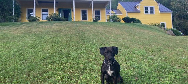 Private Retreat in Woodstock, 21 Acres, Views, Dog-friendly