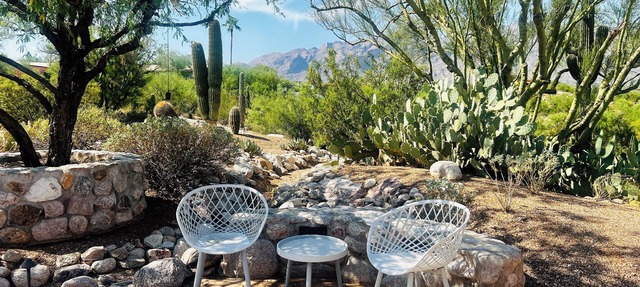 Quiet desert getaway with beautiful views and heated pool, pet-friendly
