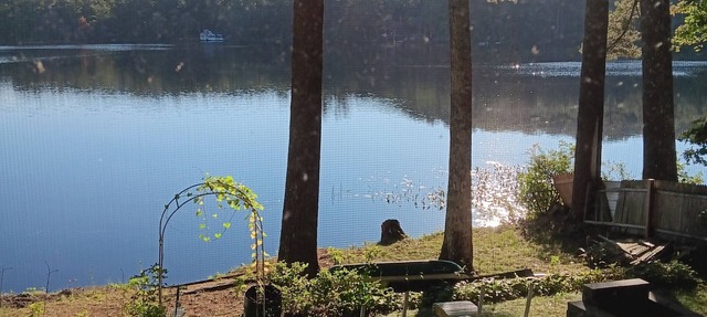 Quiet waterfront 4-season cottage on Sandogardy Pond.
