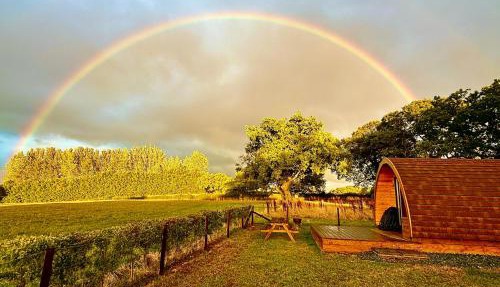 Rainbow View