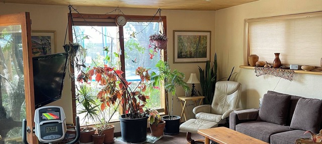 Rainbows, Rivers and Sunsets: Unique off-grid solar 3-bedroom home in El Prado