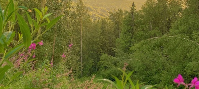 Relaxing 3BR Creekside Escape in Eagle River w/Hot Tub & Mountain Views