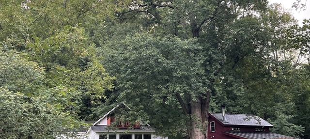 REMOTE, ROMANTIC, RELAXING, RURAL VERMONT DIRECT WATERFRONT