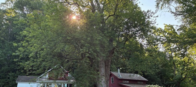 Remote romantic Vermont hideaway.Long term rentals preferred.